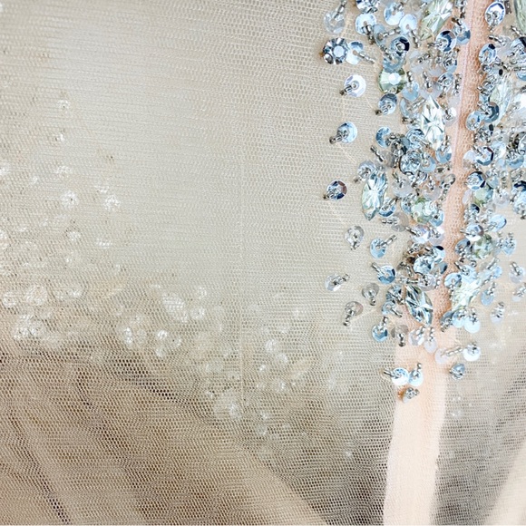 TERANI COUTURE | Blush Pink Divinity Bridal Sequins& Beads Formal Maxi Gown - Picture 8 of 15